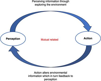 An eco-psychological framework for research on the physical environment of childcare classrooms and children’s play behavior